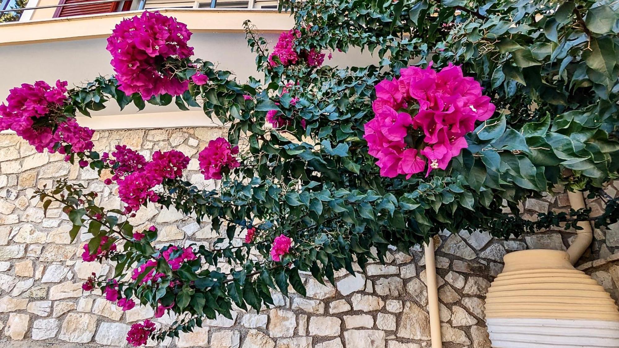 Villa Avgerini Paxos Γάιος Εξωτερικό φωτογραφία
